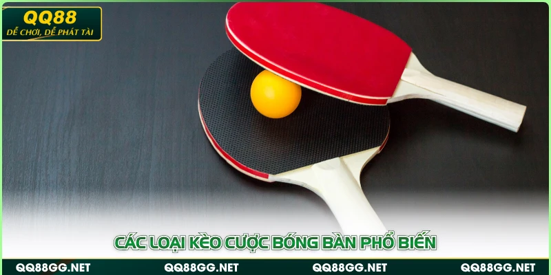 Các loại kèo cược bóng bàn phổ biến